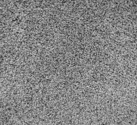 Trader's Choice Idaho Carpet Flooring